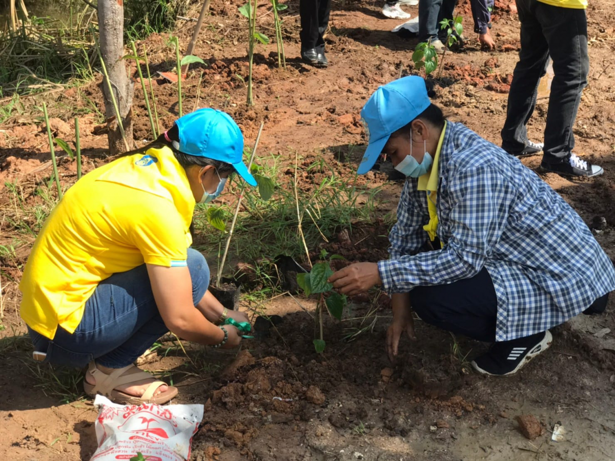 เทศบาลตำบลไทรโยง-ไชยวาล ร่วมมือกับกระทรวงมหาดไทย และสมาคมสันนิบาตเทศบาลแห่งประเทศไทยได้จัดทำโครงการ“สวน 130 ปี เนื่องในโอกาสสถาปนากระทรวงมหาดไทย ครบ 130 ปี” 