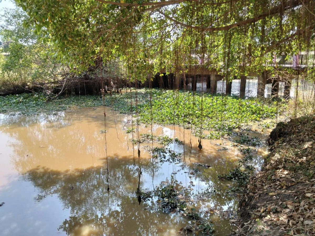 เทศบาลตำบลไทรโยง-ไชยวาล ภายใต้การนำของนายสุรัน จันทร์สง่า นายกเทศมนตรีตำบลไทรโยง-ไชยวาล มอบหมายให้เจ้าหน้าที่กองช่าง เจ้าหน้าที่กองสาธารณสุขฯ และเจ้าหน้าที่งานป้องกันฯ ดำเนินงานตามคำร้องขอความช่วยเหลือของพ่อ แม่ พี่น้อง ประชาชนในเขตพื้นที่เทศบาลฯ