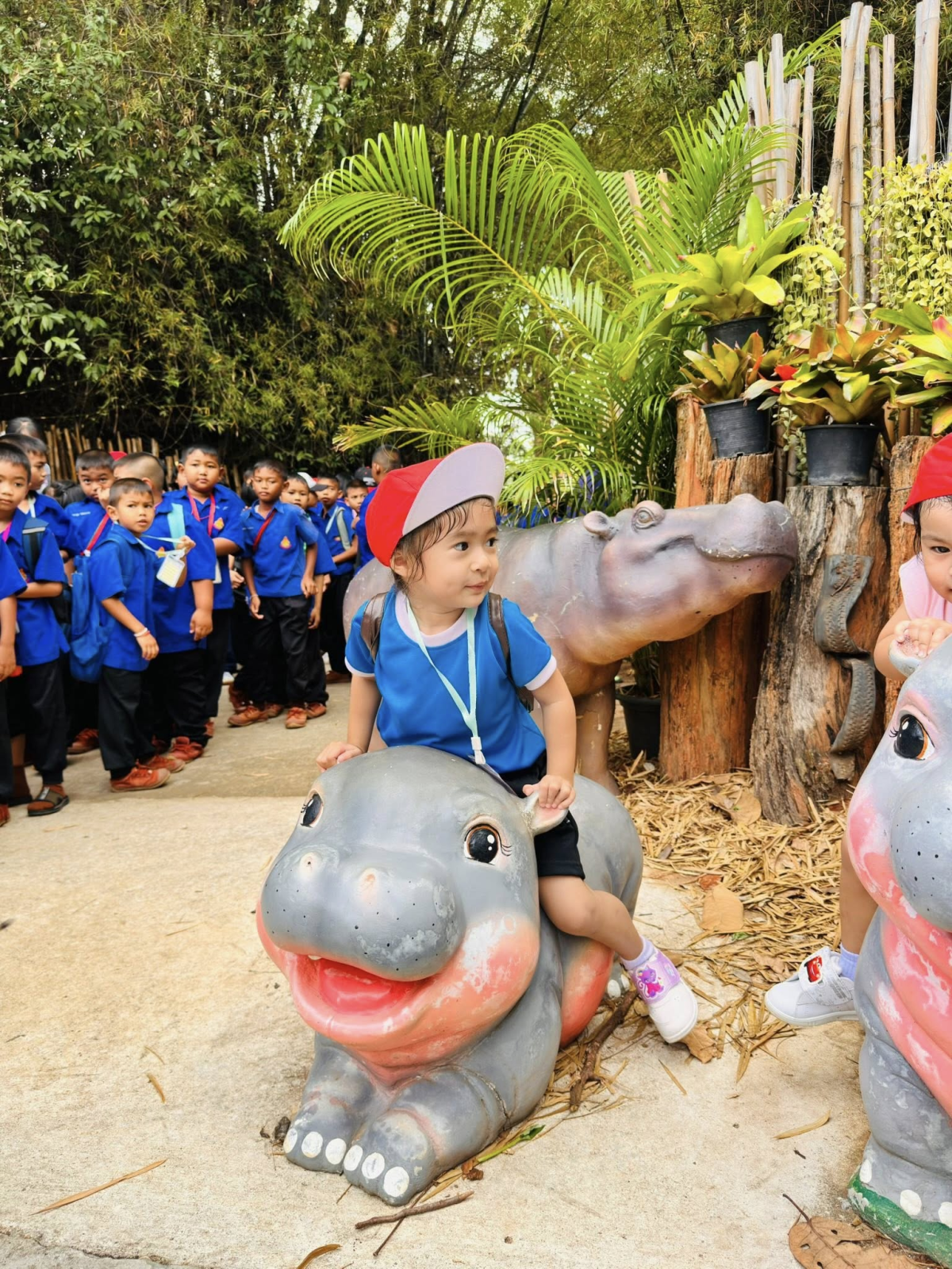 นายสุรัน จันทร์สง่า นายกเทศมนตรีตำบลไทรโยง-ไชยวาล พร้อมด้วยสมาชิกสภาเทศบาลฯ ปลัดเทศบาลฯ รองปลัดเทศบาลฯ เจ้าหน้าที่กองการศึกษา คณะคุณครู พนักงานเทศบาล ผู้ปกครอง และเด็กนักเรียนของศูนย์พัฒนาเด็กเล็กเทศบาลตำบลไทรโยง-ไชยวาล ได้เข้าร่วมโครงการศึกษาแหล่งเรียนรู้ ประจำปีงบประมาณ 2569 ณ สวนสัตว์นครราชสีมา