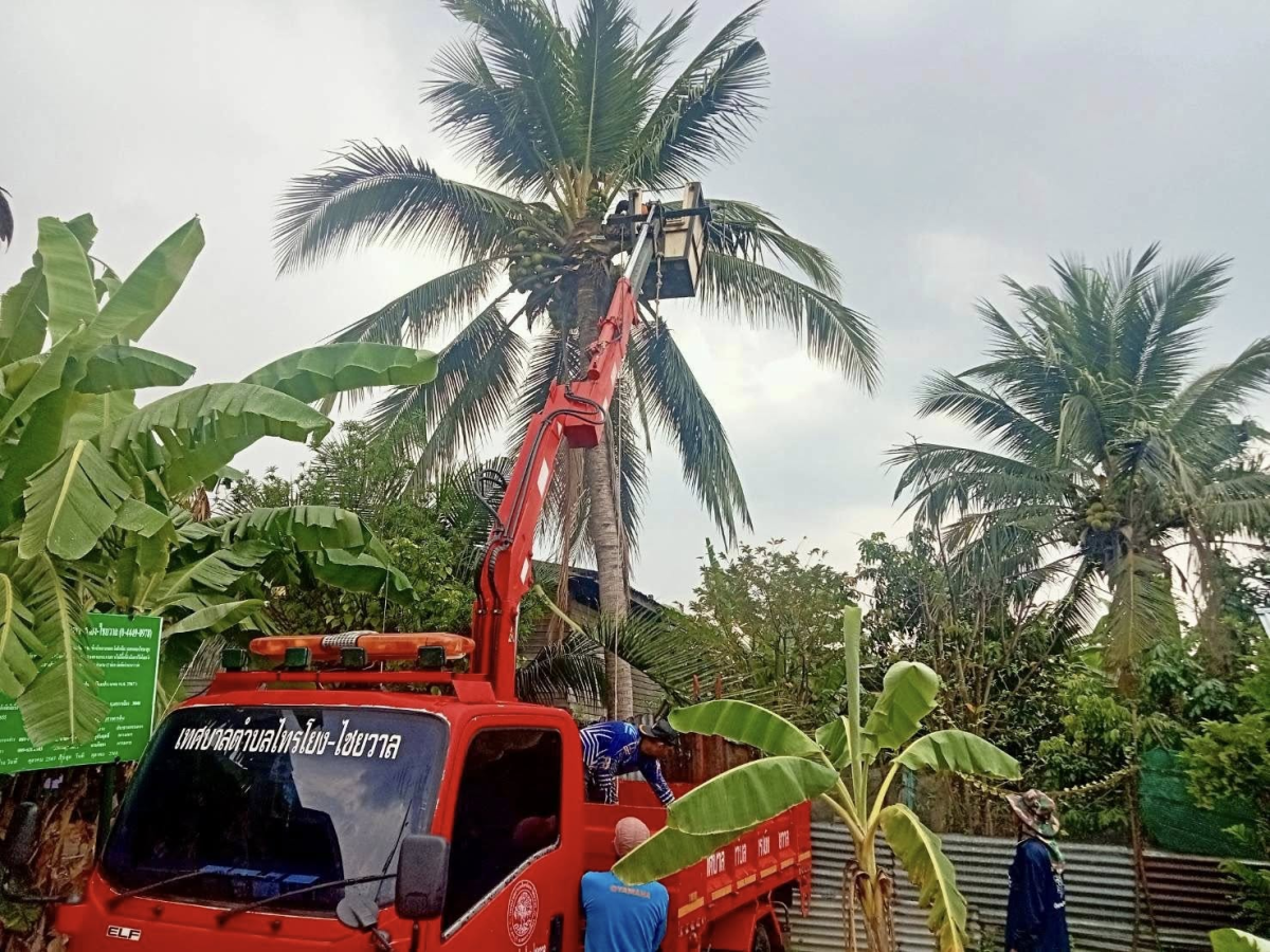 เทศบาลตำบลไทรโยง-ไชยวาล ภายใต้การนำของนายสุรัน จันทร์สง่า นายกเทศมนตรีตำบลไทรโยง-ไชยวาล มอบหมายให้เจ้าหน้าที่กองช่าง เจ้าหน้าที่กองสาธารณสุขฯ และเจ้าหน้าที่งานป้องกันฯ เพื่อดำเนินงานตามภารกิจที่เกี่ยวข้อง พร้อมทั้งดำเนินงานตามคำร้องขอความช่วยเหลือของพ่อ แม่ พี่น้อง ประชาชนในเขตพื้นที่เทศบาลฯ