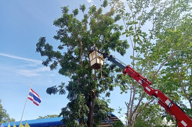 เทศบาลตำบลไทรโยง-ไชยวาล ภายใต้การนำของนายสุรัน จันทร์สง่า นายกเทศมนตรีตำบลไทรโยง-ไชยวาล มอบหมายให้เจ้าหน้าที่งานป้องกันฯ กองช่าง และกองการประปา ปฏิบัติหน้าที่เพื่อช่วยเหลือพ่อ แม่ พี่น้อง ประชาชน ตามคำร้องขอ